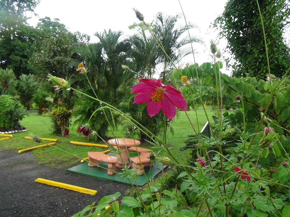 Hotel Vista Al Tortuguero Cariari  Bilik gambar